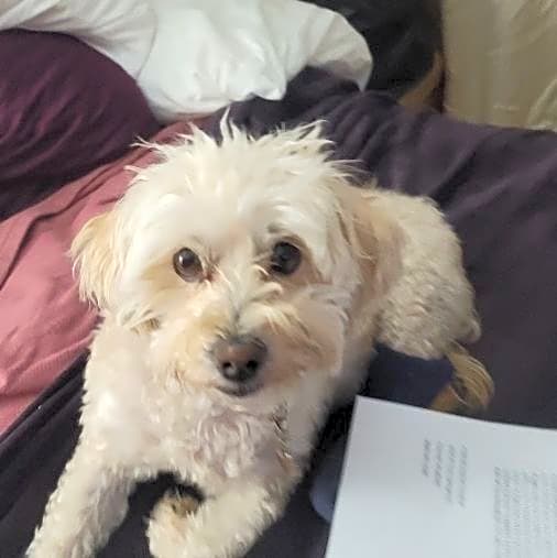 Photo of Jake