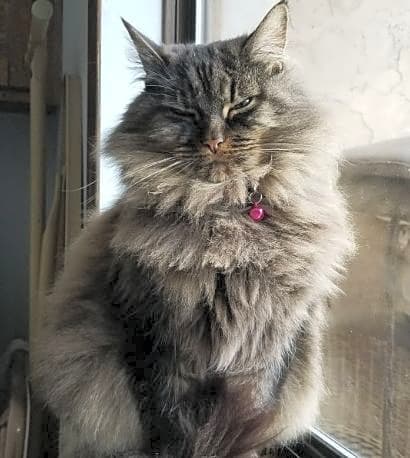 Photo of Diablo