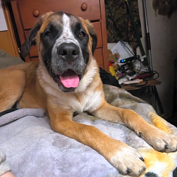 Photo of Odin
