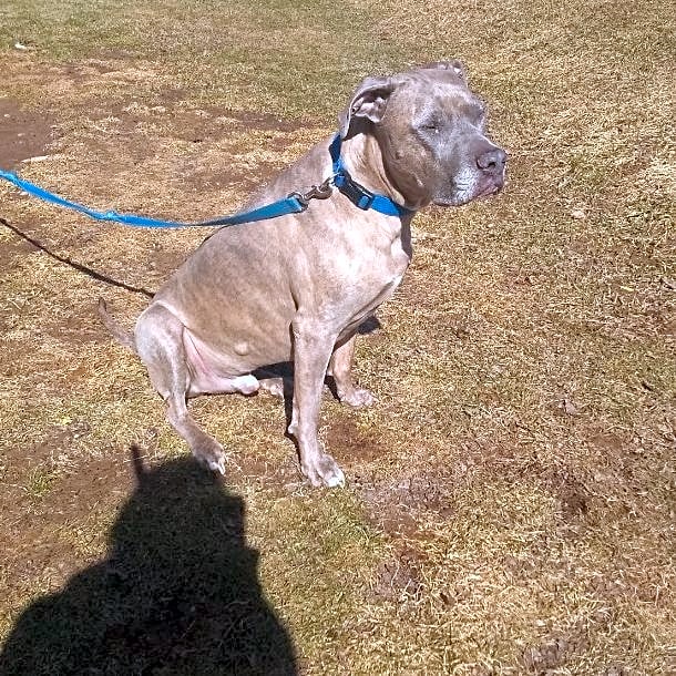 Photo of Bentley