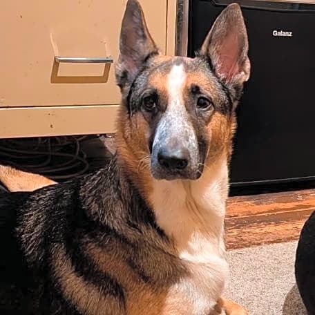 Photo of Molly
