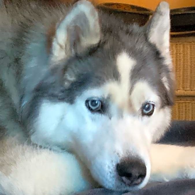Photo of Kadja