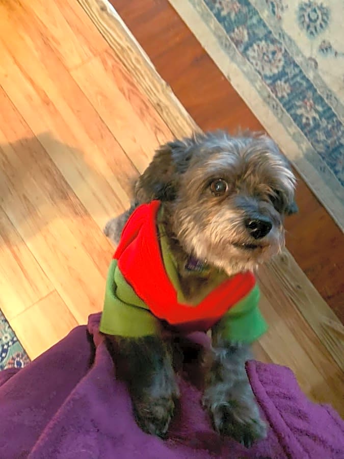 Photo of Toto