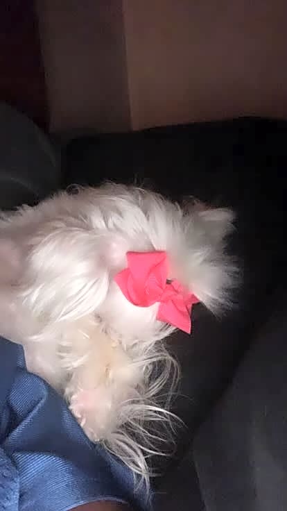 Photo of Jasmine / Lil Momma