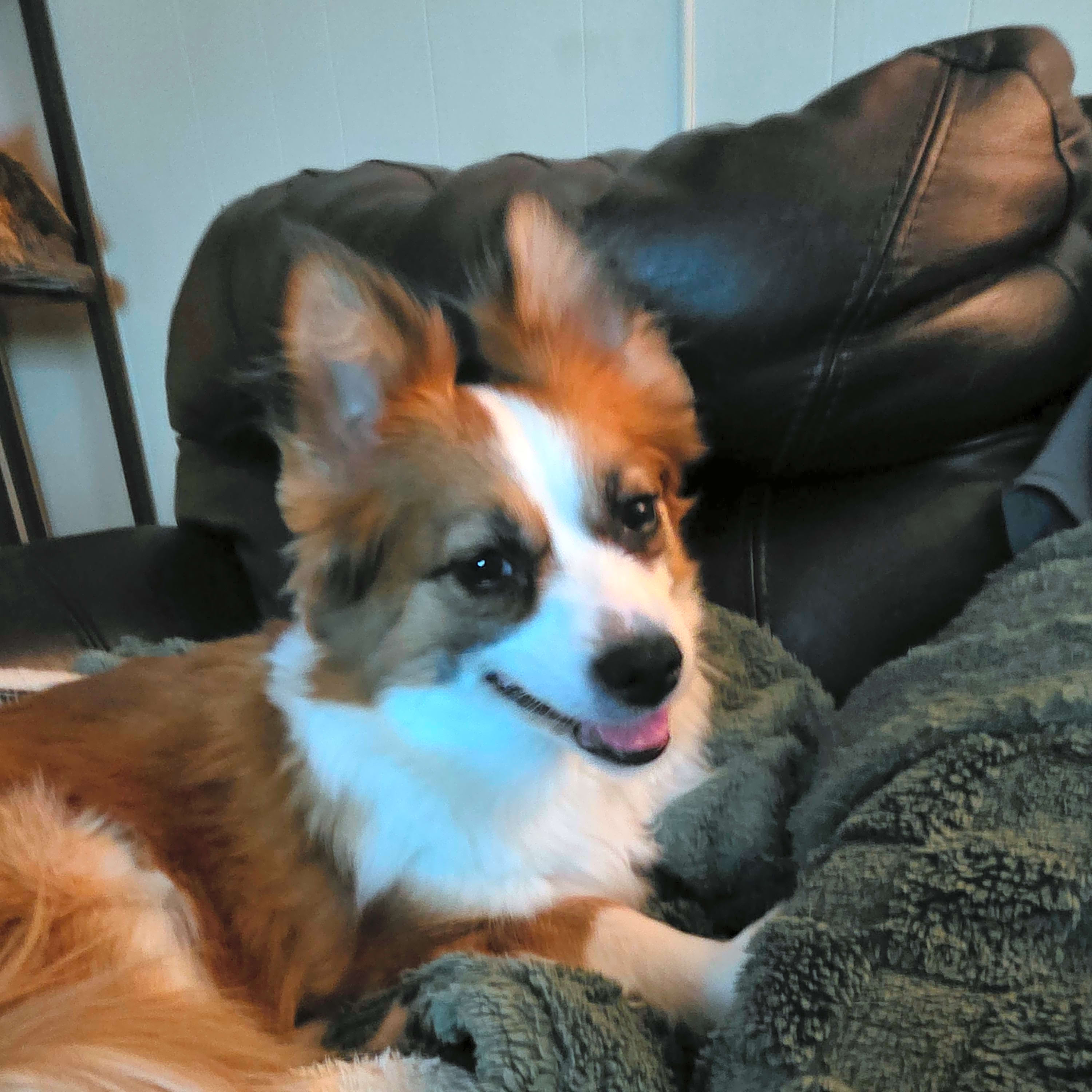 Photo of Willow Mae