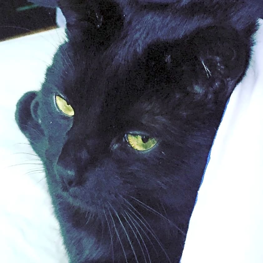 Photo of Jenny