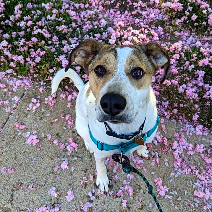 Photo of Argo