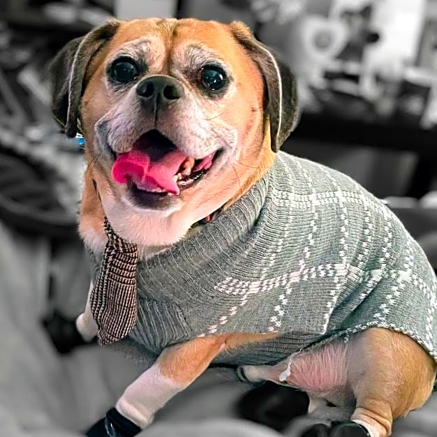 Photo of Charlie