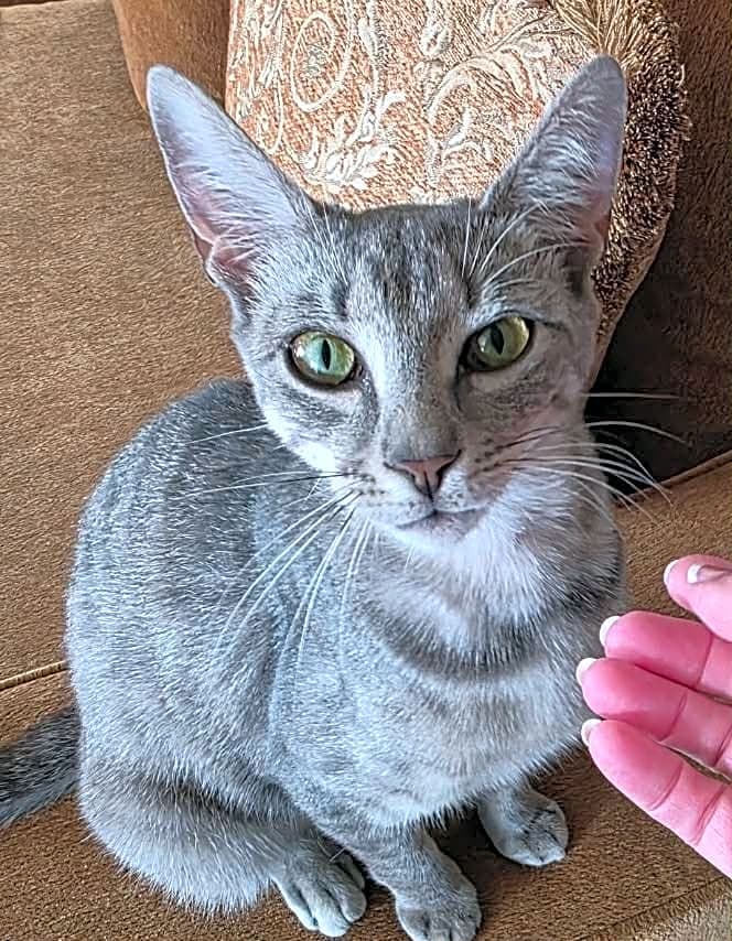 Photo of Luna