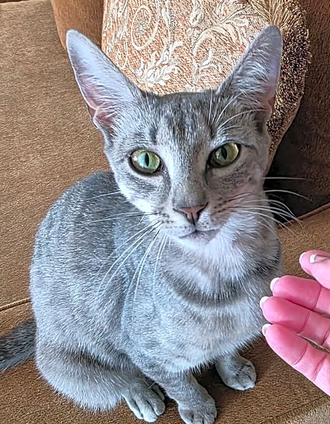 Photo of Luna