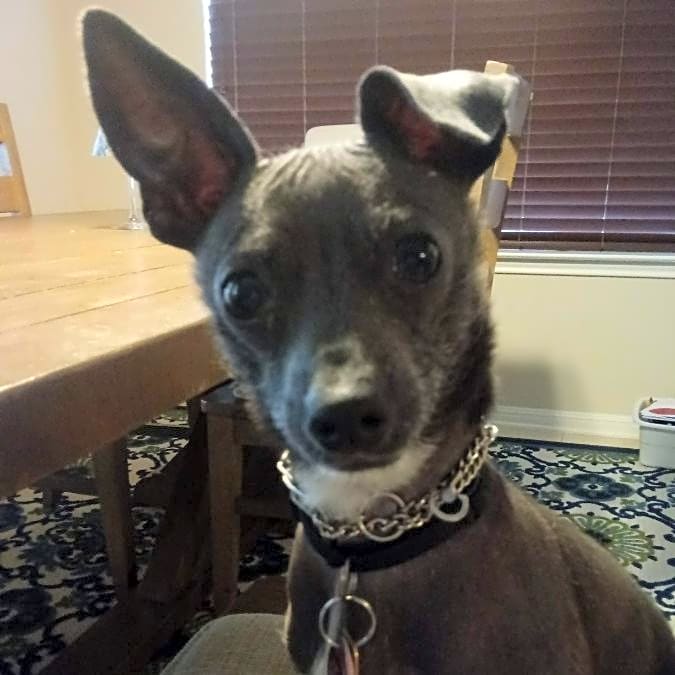 Photo of Ivan