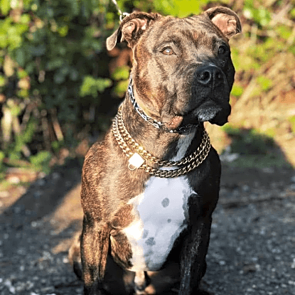 Photo of Esko