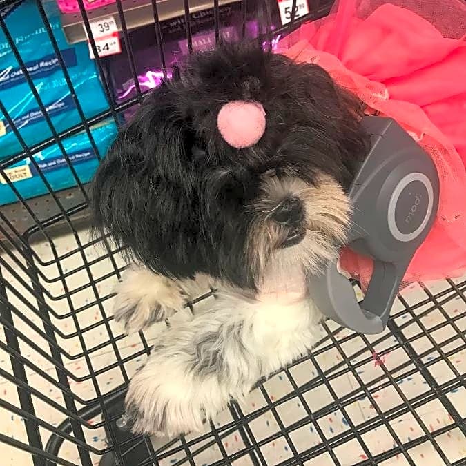 Photo of Mia