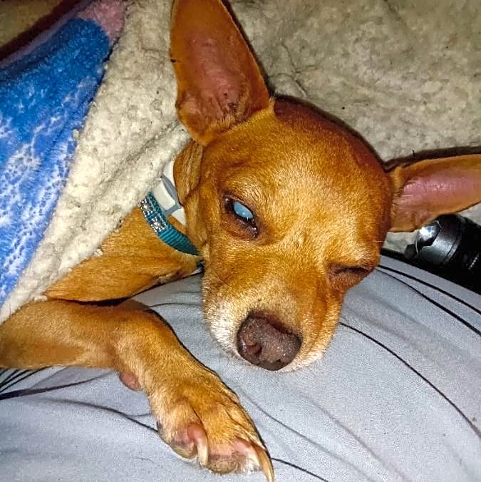 Photo of Bentley