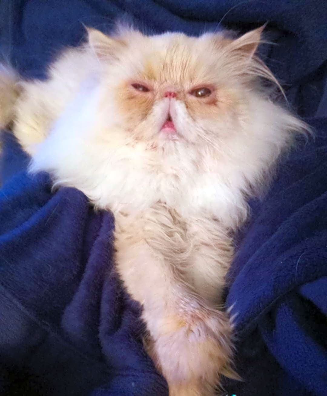 Photo of Baby