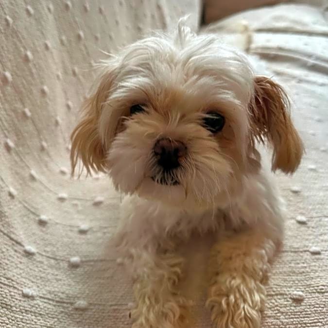 Photo of Wendy