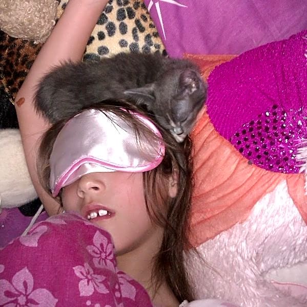 Photo of Snuggles