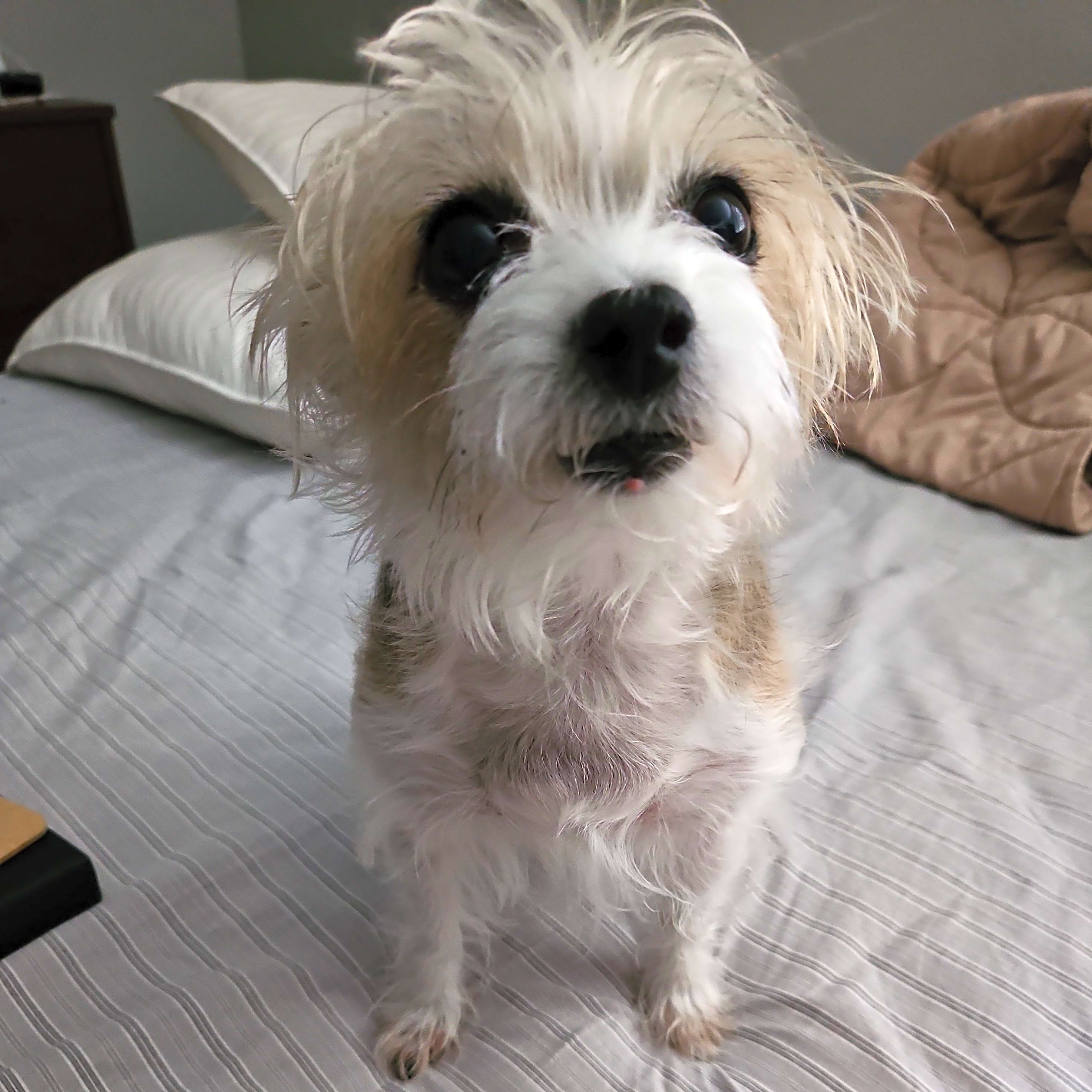 Photo of Lilly