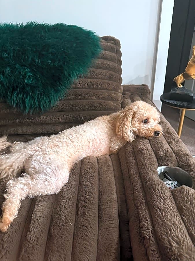 Photo of Peaches