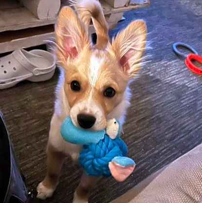 Photo of Jake