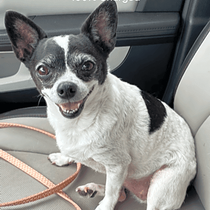 Photo of Mitzi