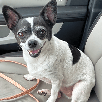 Photo of Mitzi