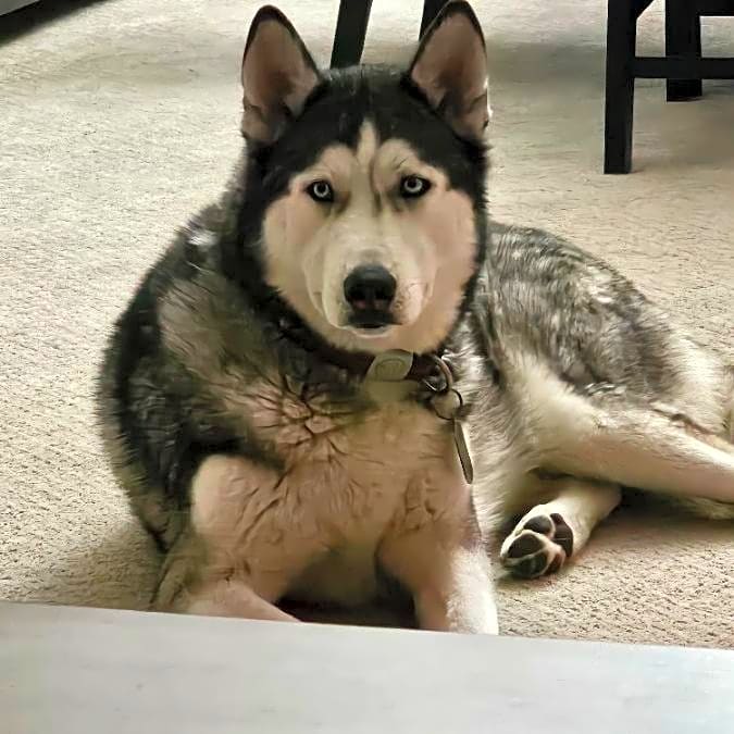 Photo of Stark
