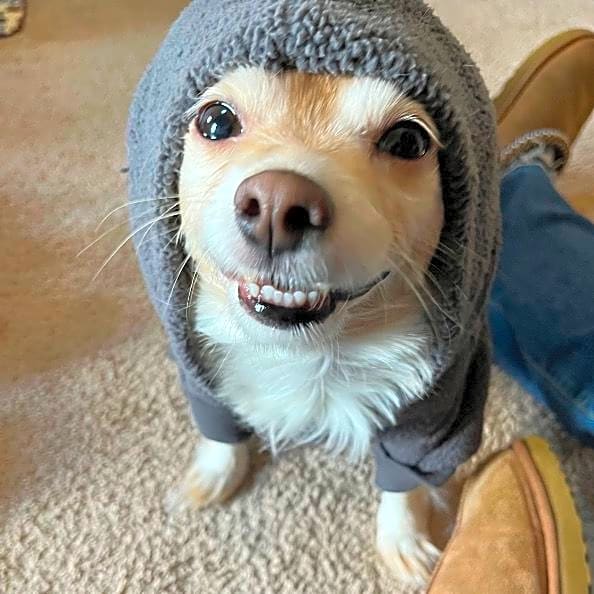 Photo of Finnegan