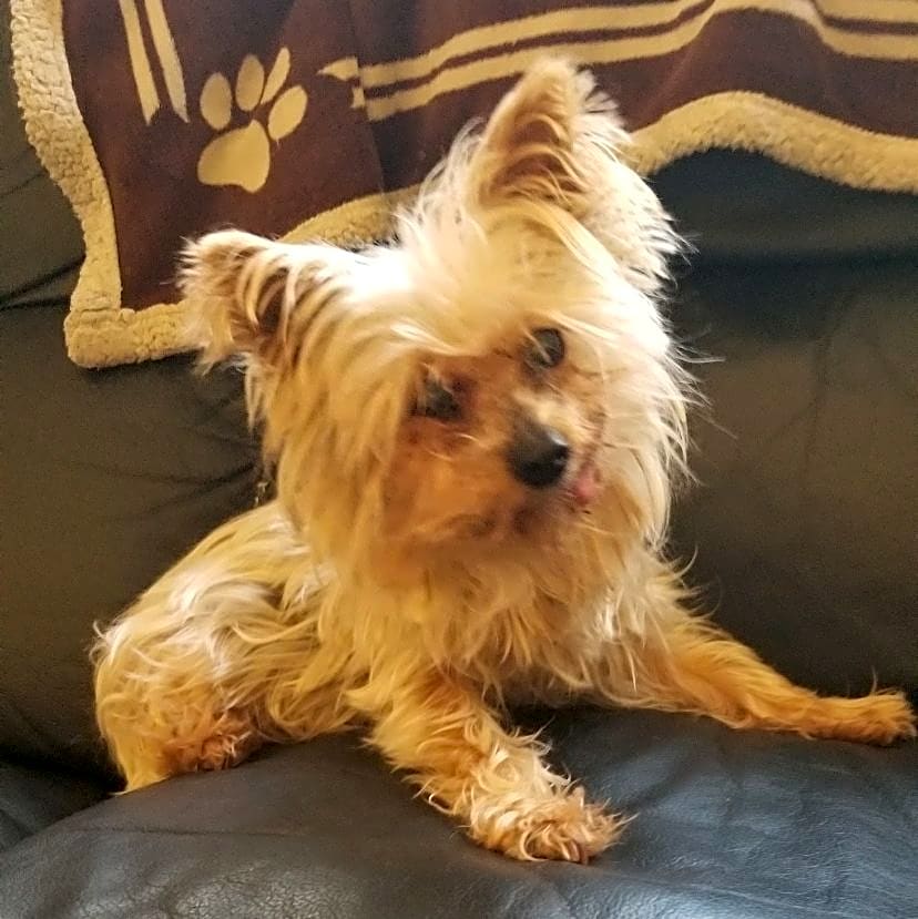 Photo of Priscilla