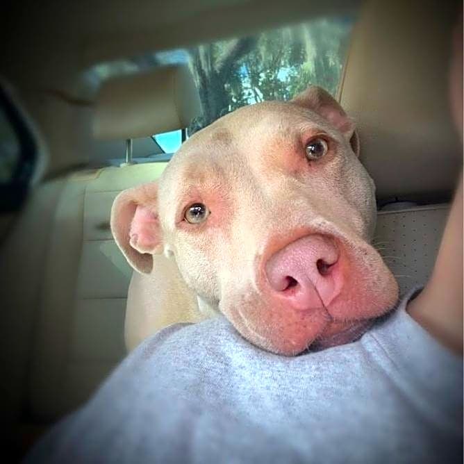 Photo of Baby