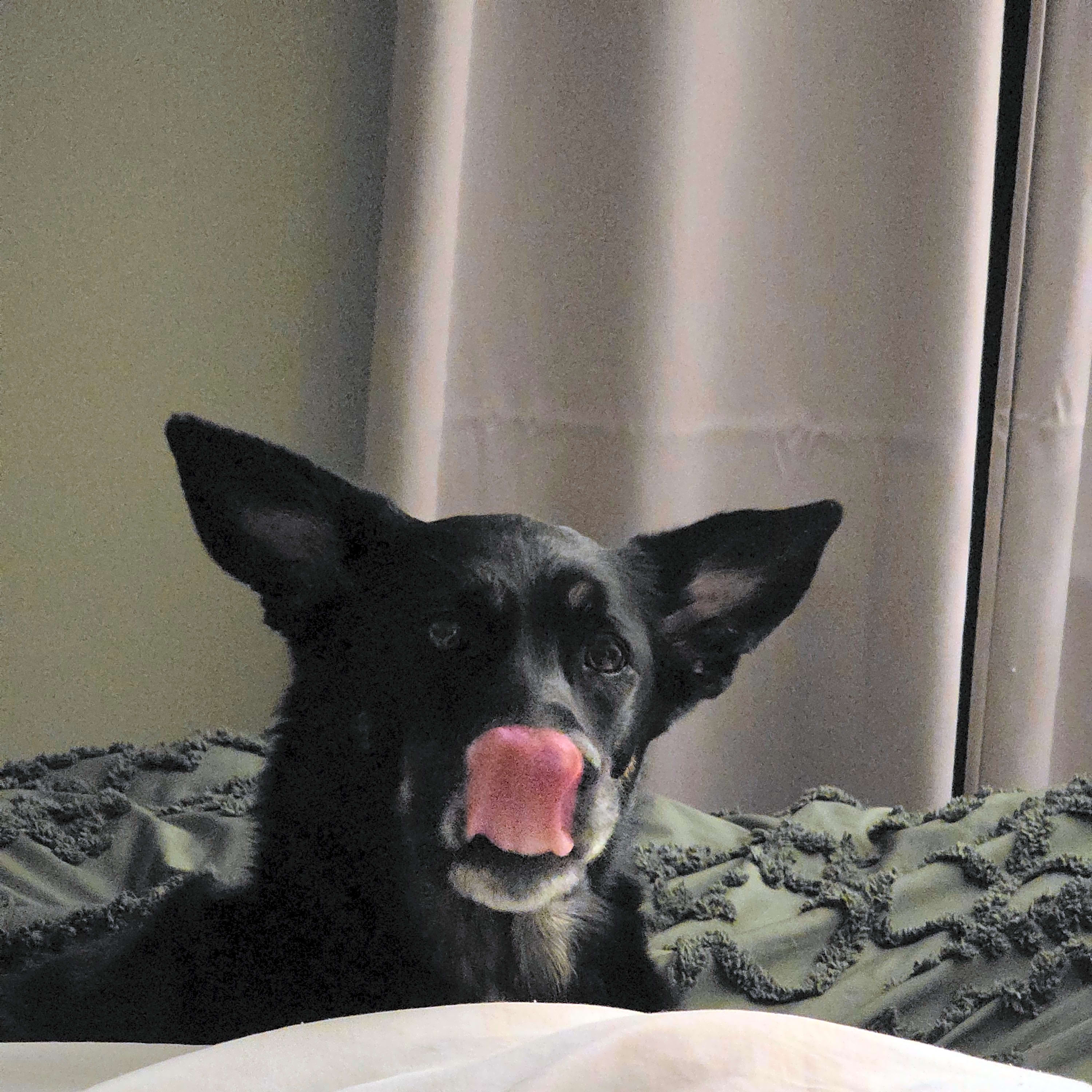 Photo of Ruth