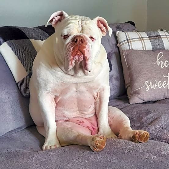 Photo of Chloe