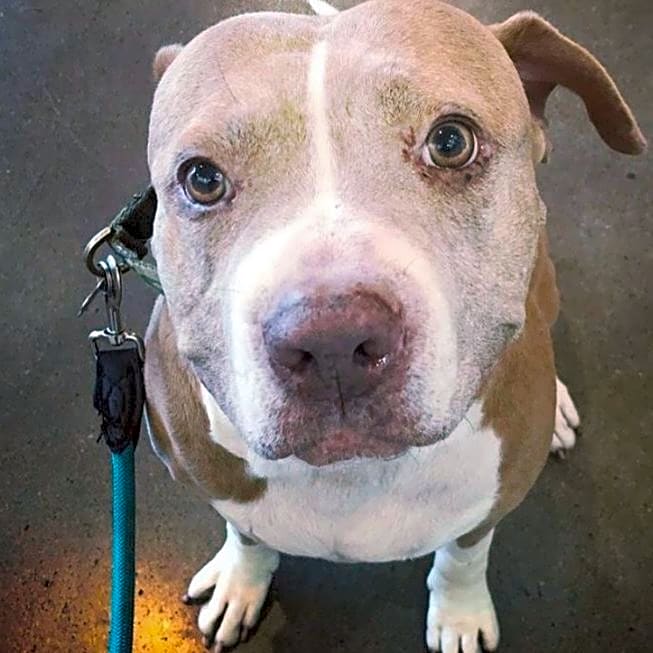 Photo of Hudson