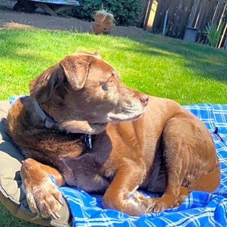 Photo of Rudy