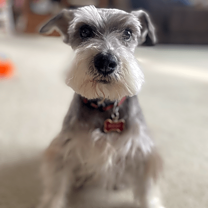 Photo of Rocky Antonio