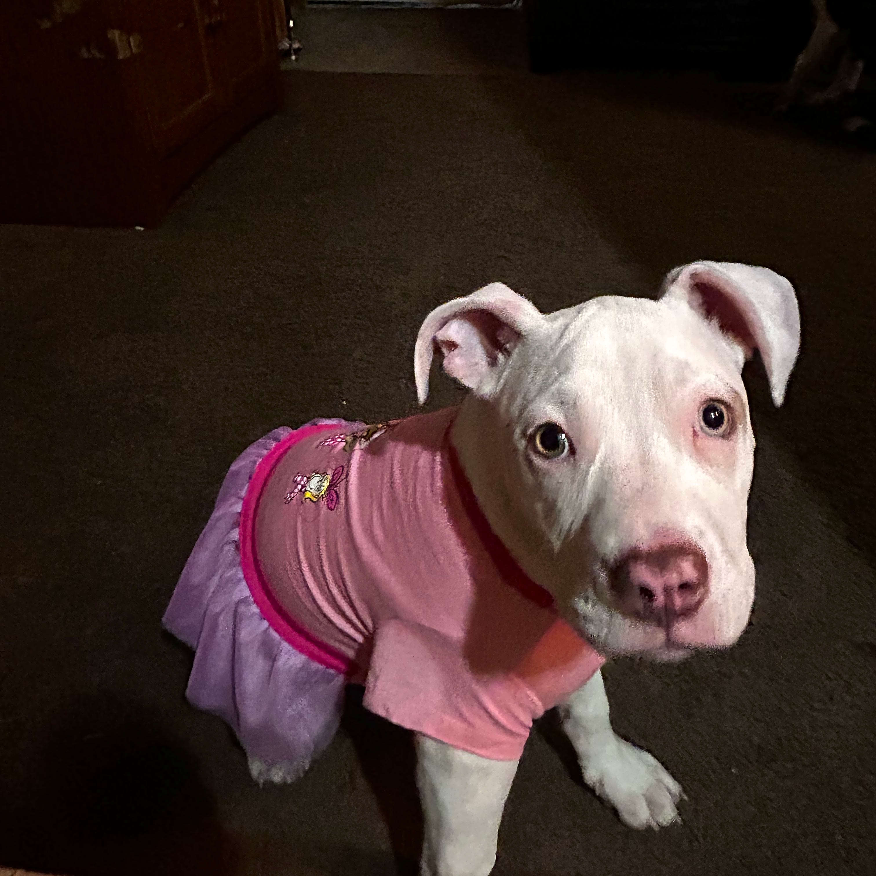 Photo of Nala