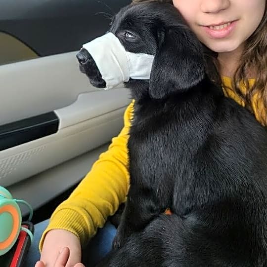 Photo of Delilah