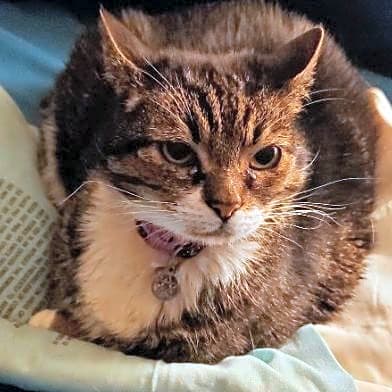 Photo of Maggie