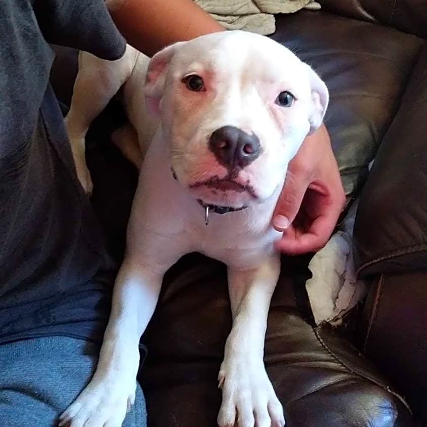 Photo of Sugar