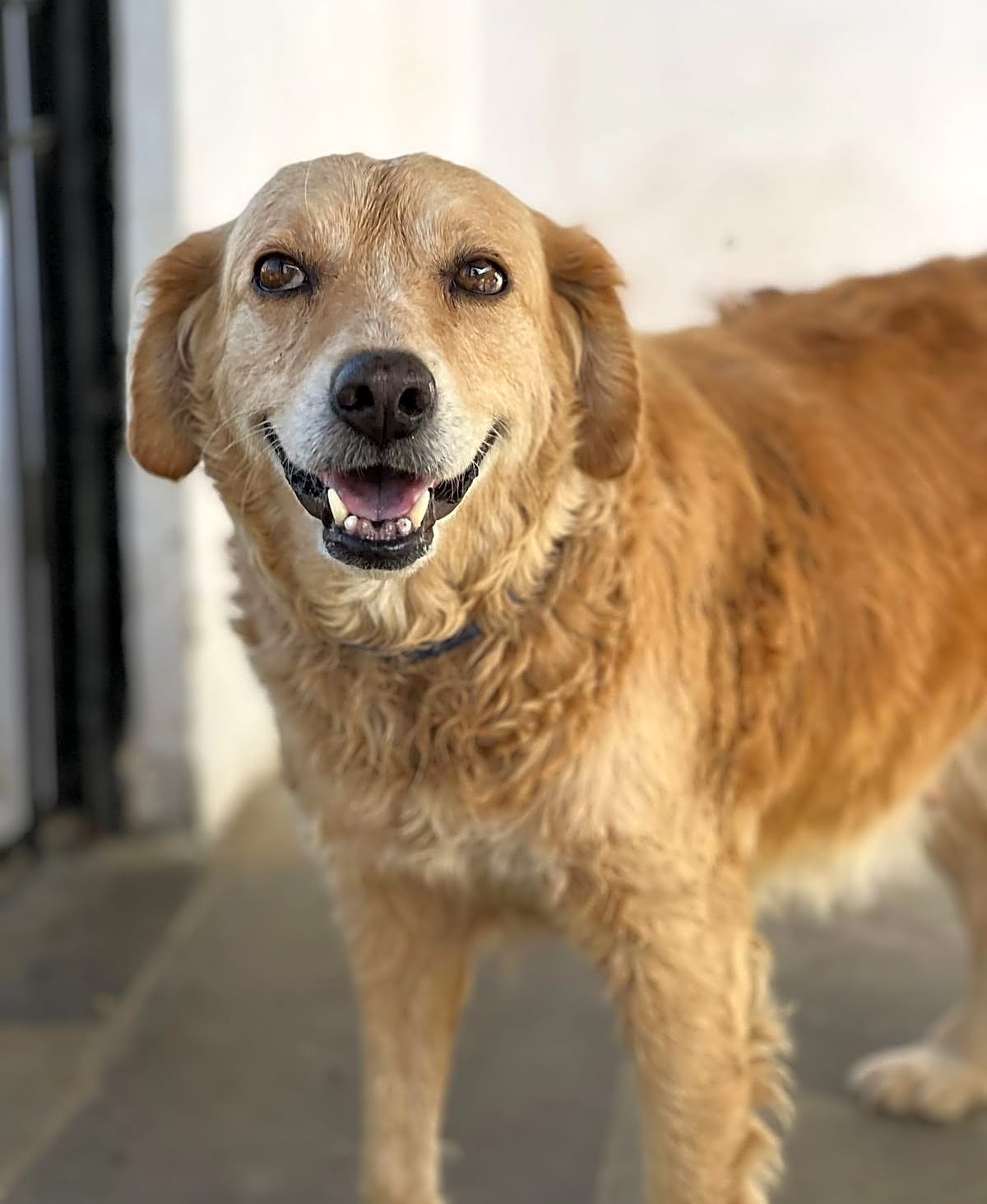 Photo of Lily