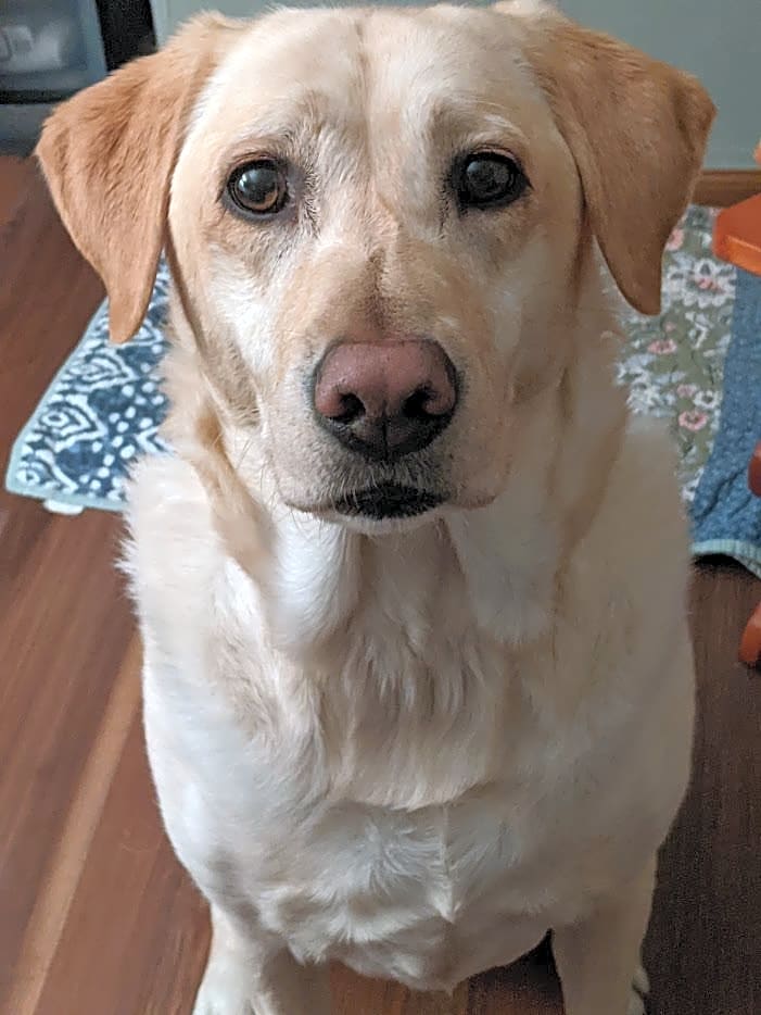Photo of Sadie Anne