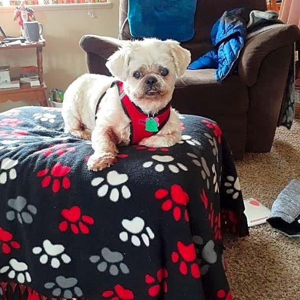 Photo of Sugar