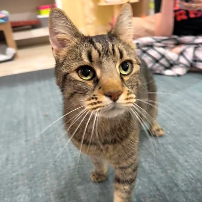 Photo of Ziggy