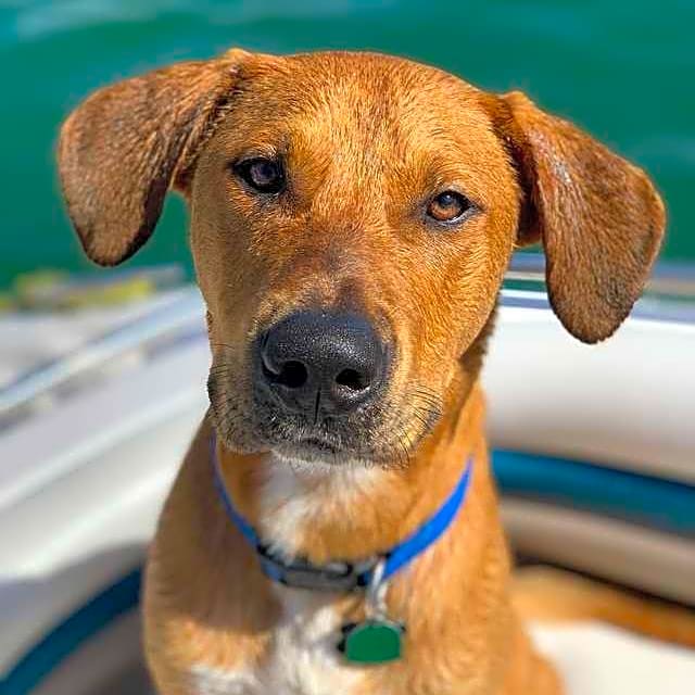 Photo of Murphy