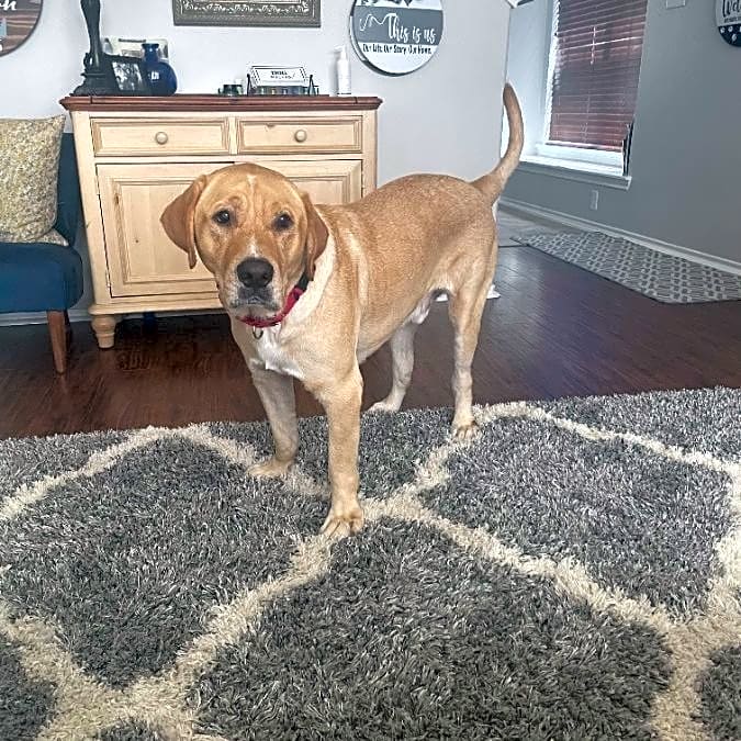 Photo of Buddy Hank
