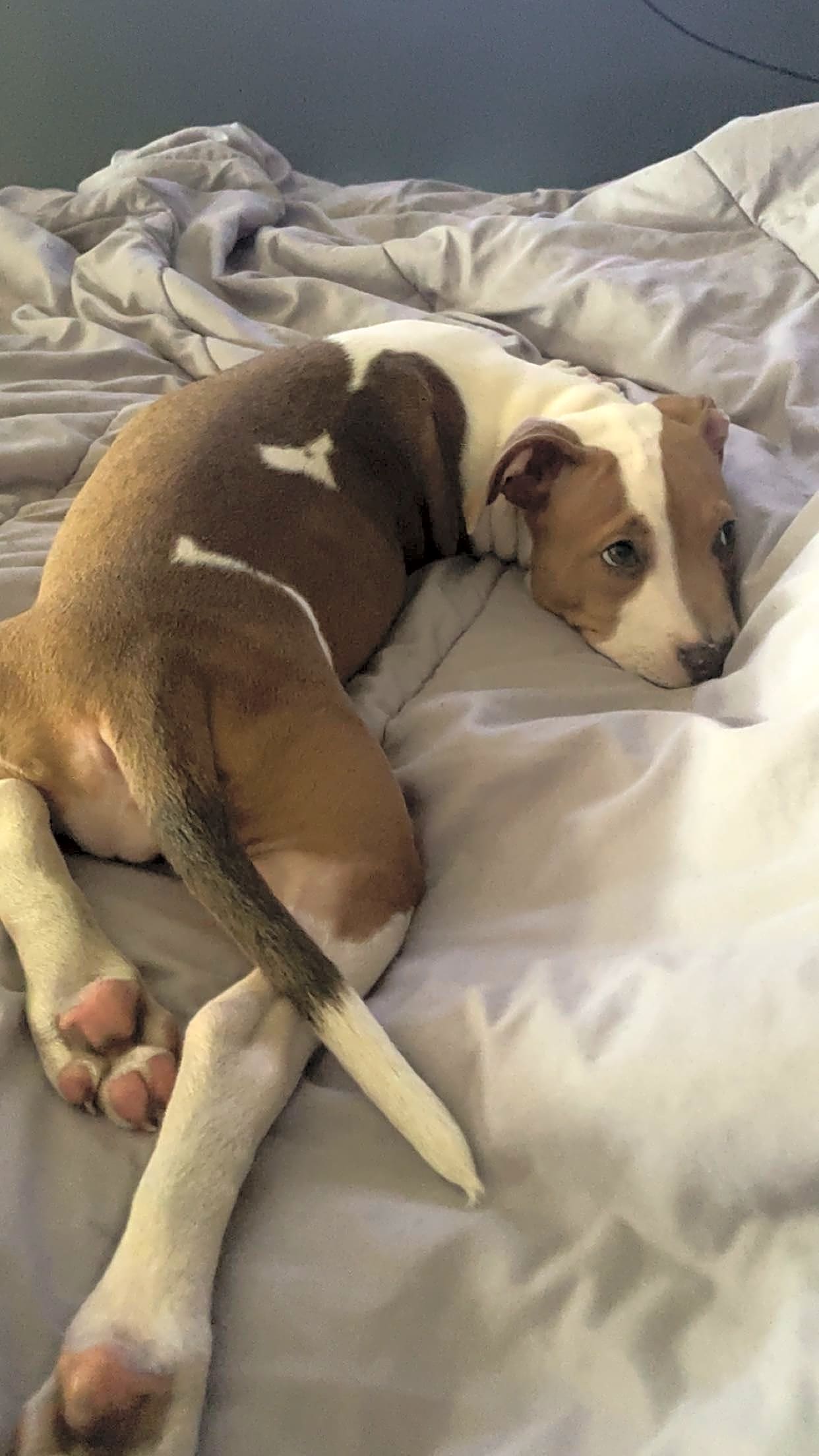 Photo of Spice