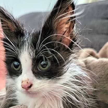 Photo of Sugar