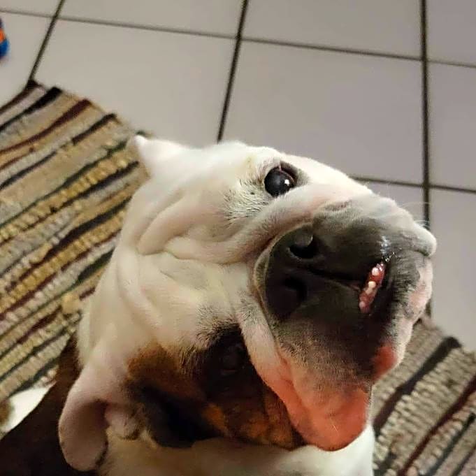Photo of Luca