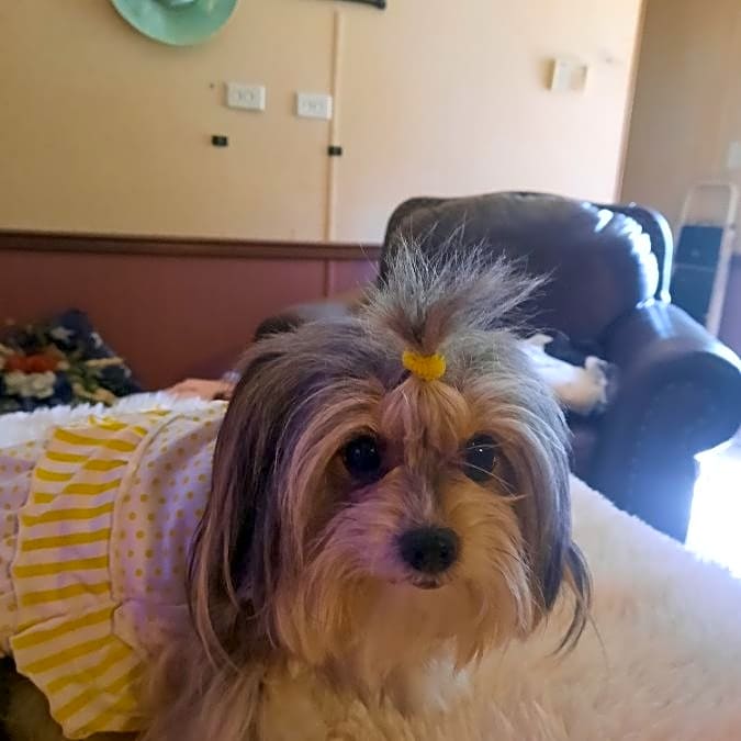 Photo of Zoe