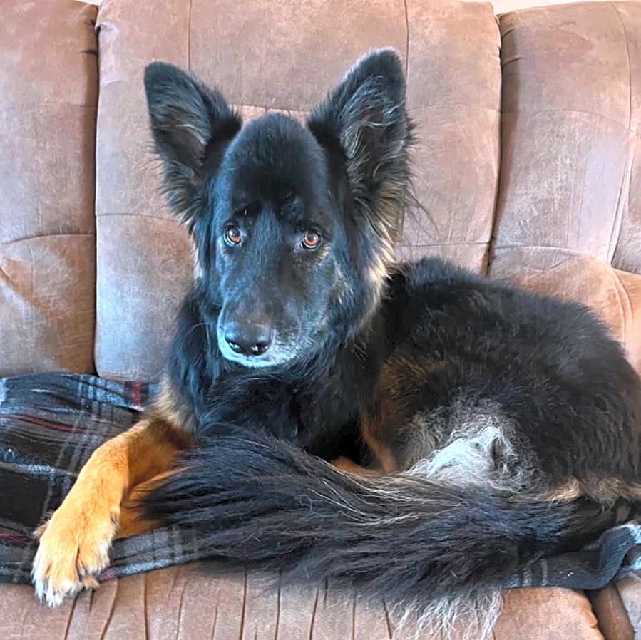 Photo of Sasha